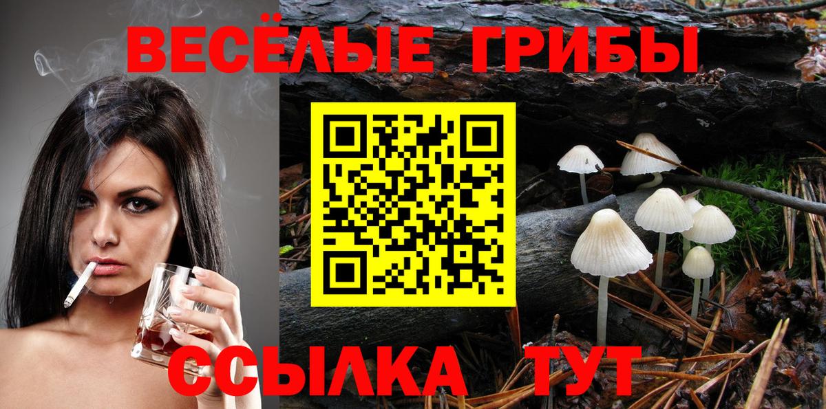 Псилоцибиновые грибы ЛСД  Галлюциногенные грибы MAGIC MUSHROOMS  Зеленогорск  где купить наркотик  Вход с VPN 