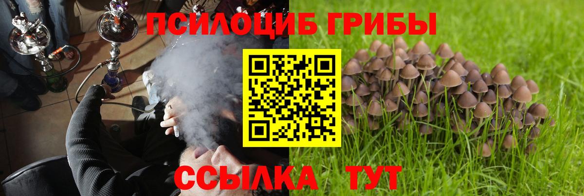 Зеленогорск  МАРИХУАНА  Вход с VPN  COCAIN  Альфа ПВП СК кристаллы  КЕТАМИН  МЕФ   МАРИХУАНА 